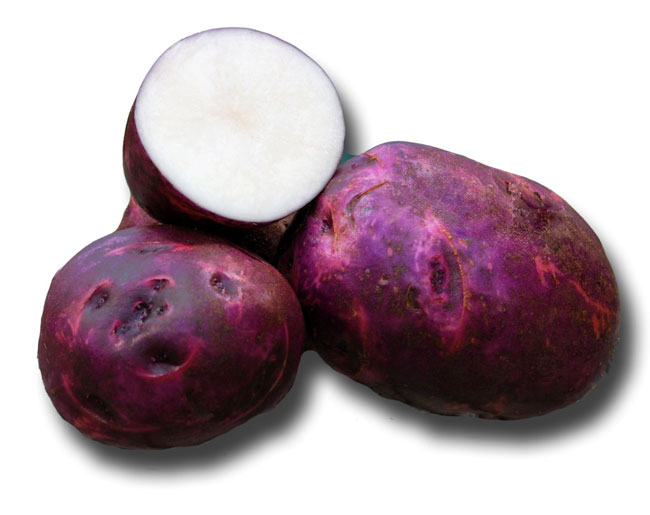 Purple Viking Organic Holbrook Seed Potatoes