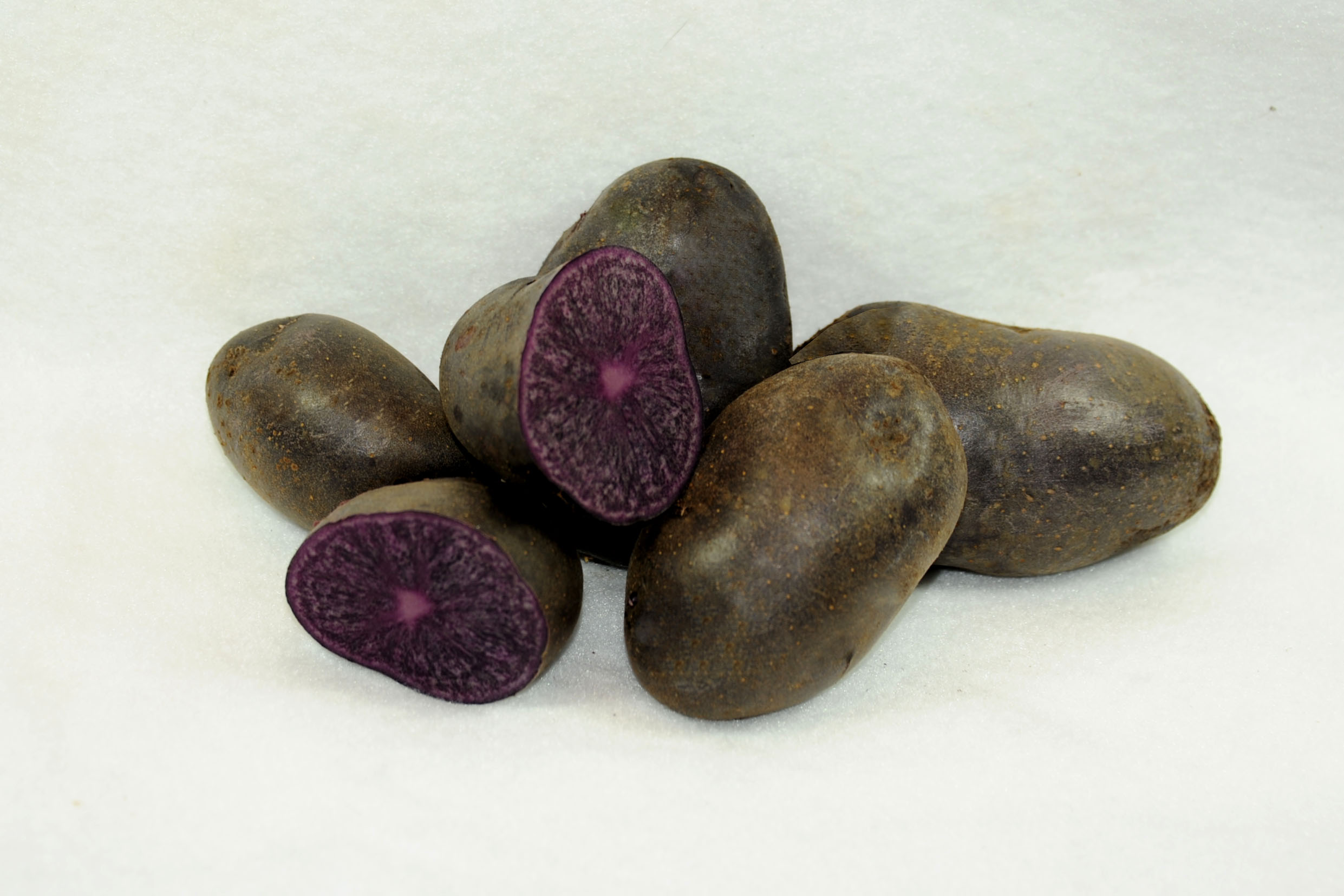 Purple Majesty Holbrook Seed Potatoes